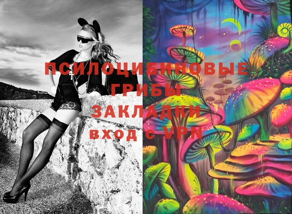 ГАЛЛЮЦИНОГЕННЫЕ ГРИБЫ Струнино