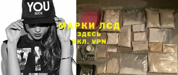 ГАЛЛЮЦИНОГЕННЫЕ ГРИБЫ Струнино